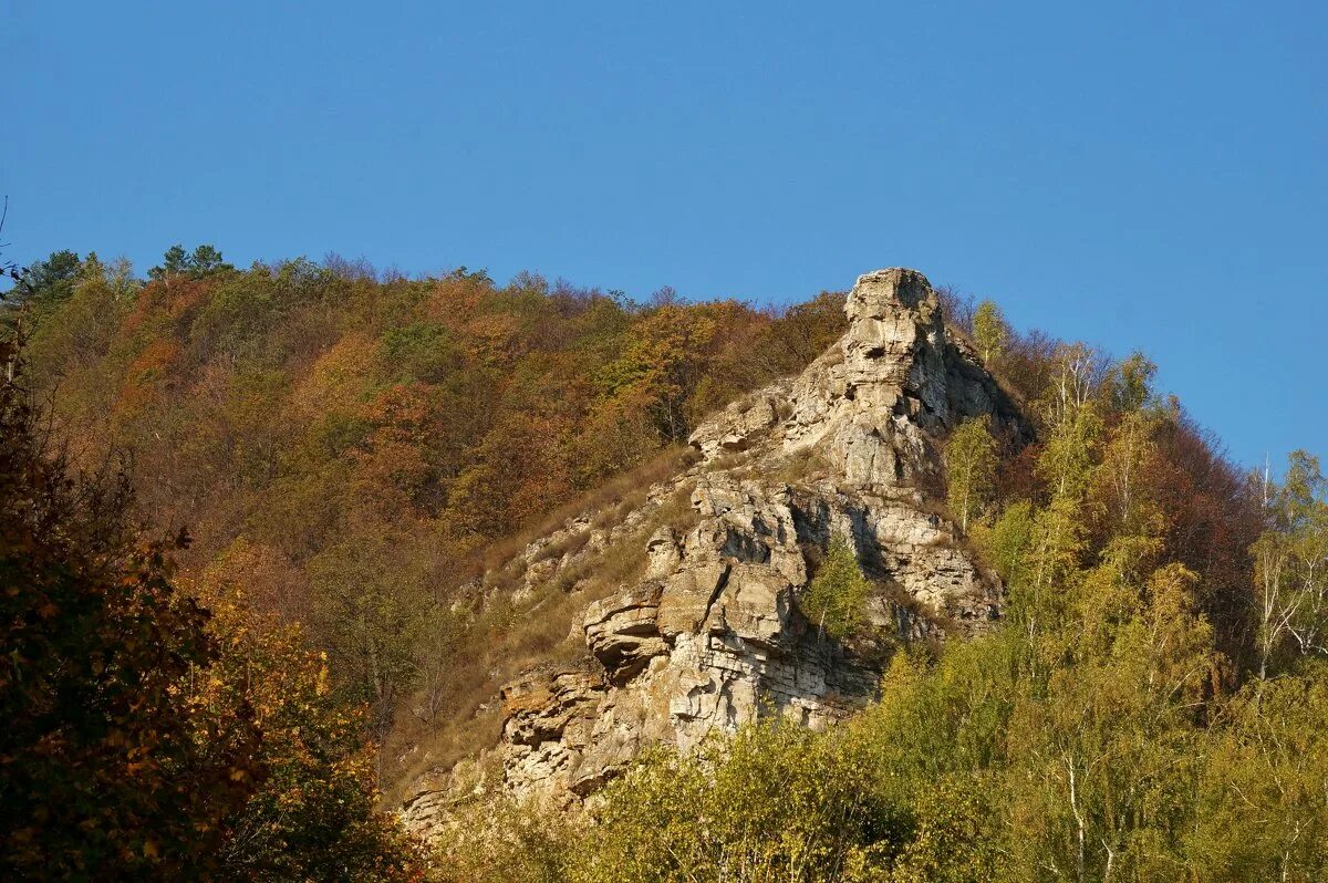 Гора верблюд жигулевские горы. Гора верблюд самара. Гора верблюд ширяево. Гора верблюд самарская область. Гора верблюд самара.