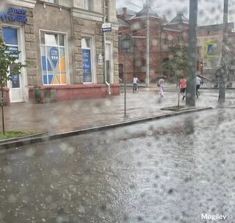 19 дождь