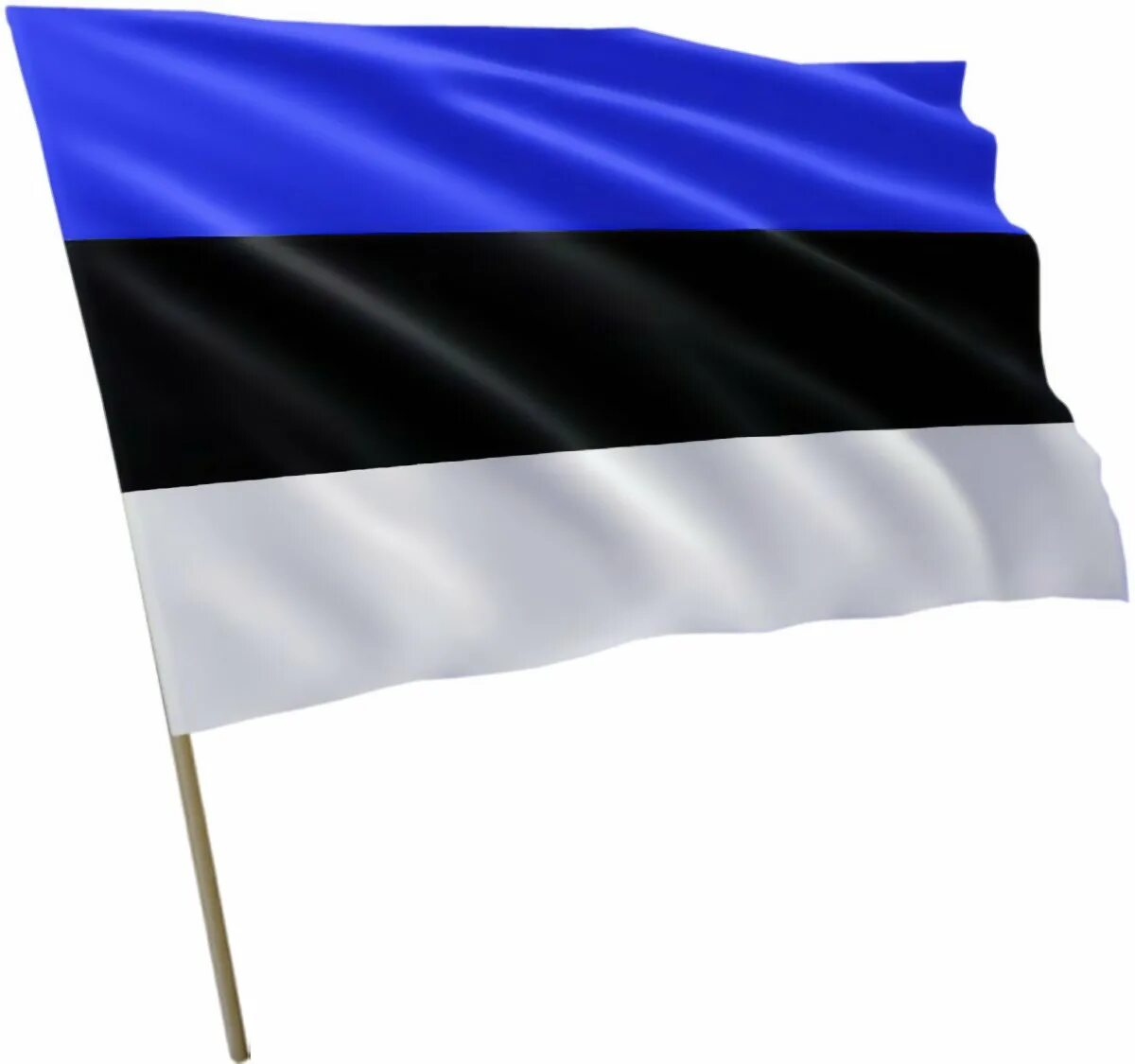 Как выглядит флажок