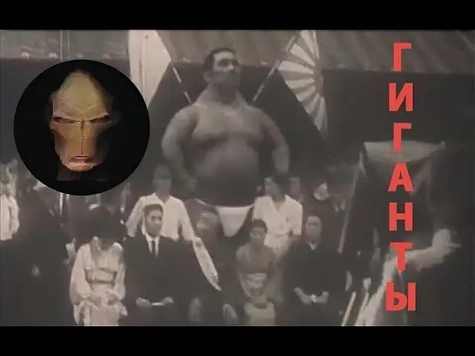 Человек гигант видео. Человек гигант япония 20 век. Раскопки гигантских людей. Человек гигант видео. Гигантские скелеты людей.