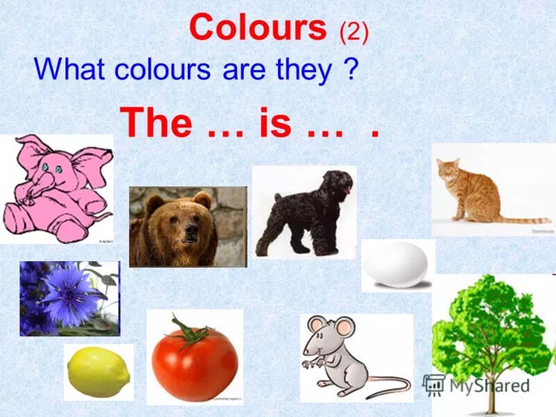 This is what they see. Вопросы what Colour are. What Colour is it задания. What Color is/are упражнения. What Color are упражнения.