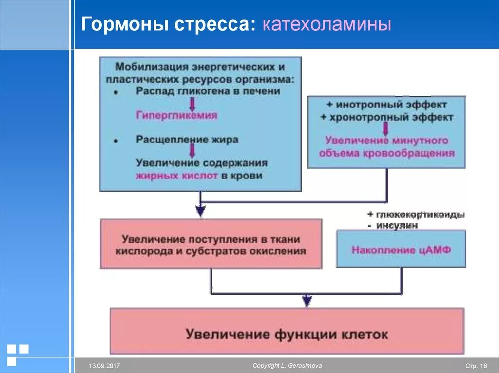 Гормоны стрессовой ситуации. Влияние гормонов стресса на организм. Гормоны стресса первого уровня. Гормональные аспекты стресса. Какие гормоны вырабатываются при стрессе.