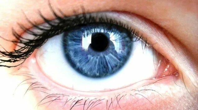 Как выглядит голубой цвет глаз Pinterest Fotos de ojos, Arte para ojos, Ojos acuarela