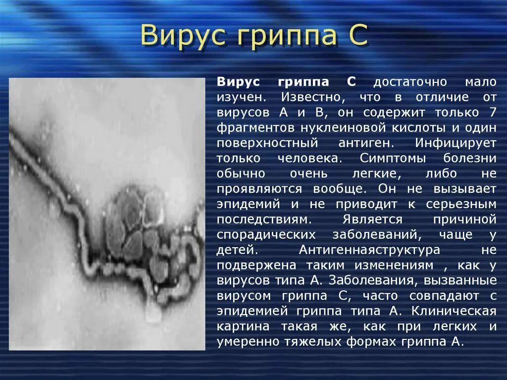Сообщение о любом вирусе. Информация о вирусах. сообщение о вирусах. вирусы доклад. сообщение о вирусе по биологии.