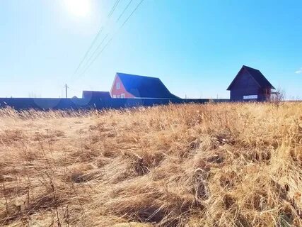 Фруктовая московская область