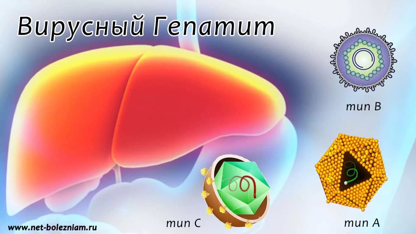 Вирусные гепатиты. Вирус гепатита в. Вирусные гепатиты картинки. Гепатит в мире