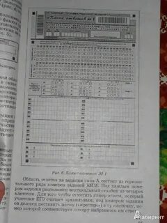 Огэ обществознание 9 класс 2024 понятия
