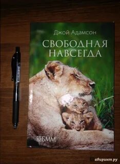 Джой читать
