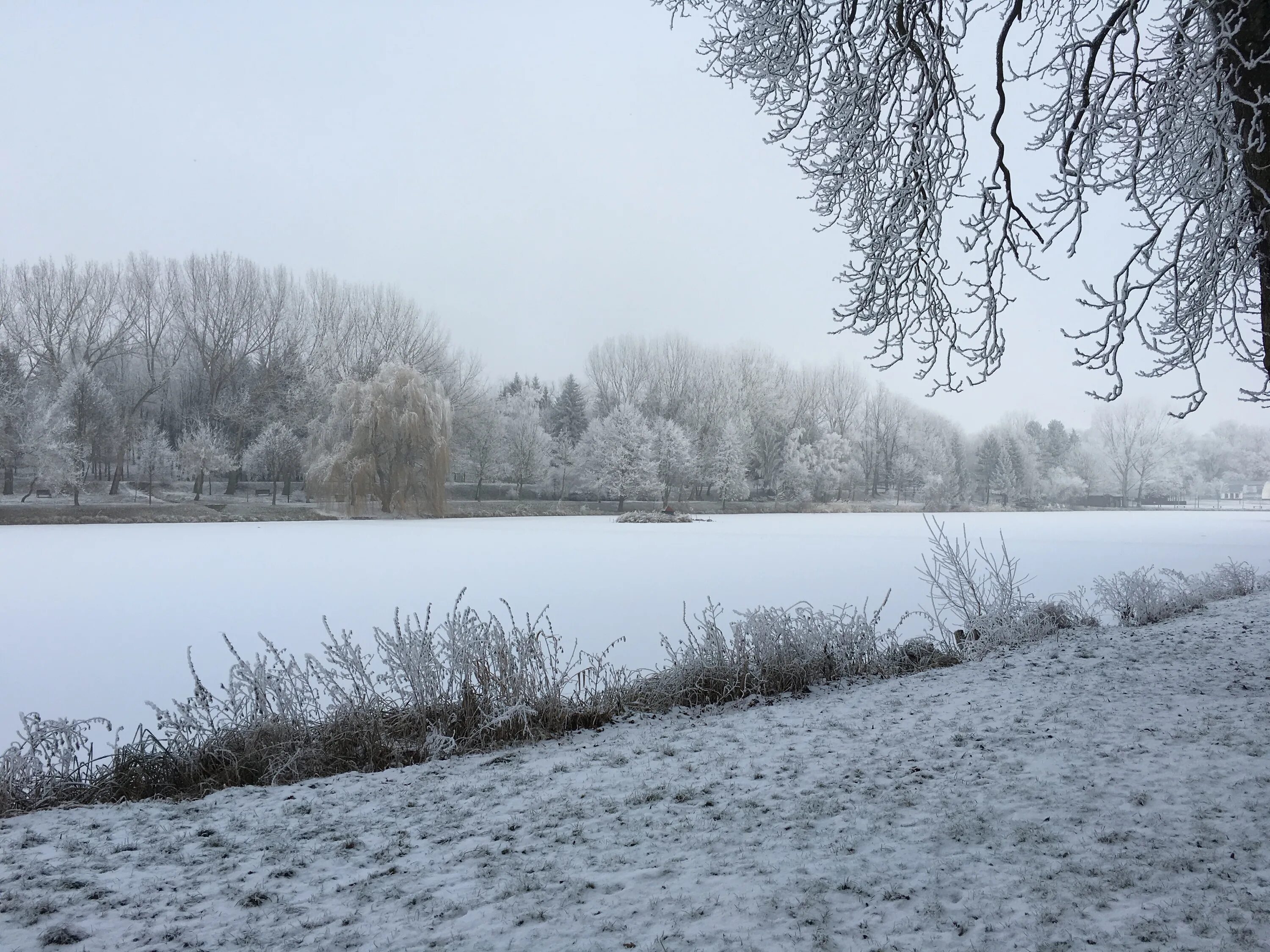 Зимно