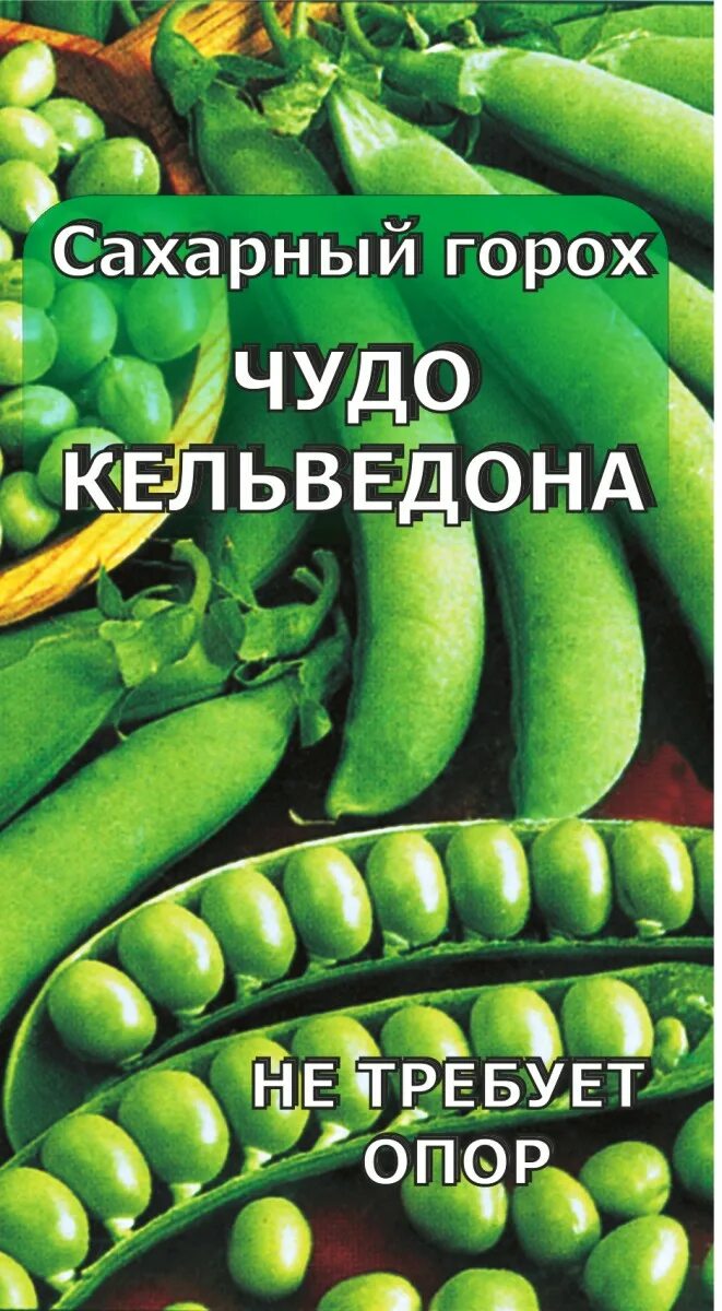 Горох чудо Кельведона. Семена горох чудо Кельведона. Горох чудо Кельведона описание. Семена гороха не требующие опоры.