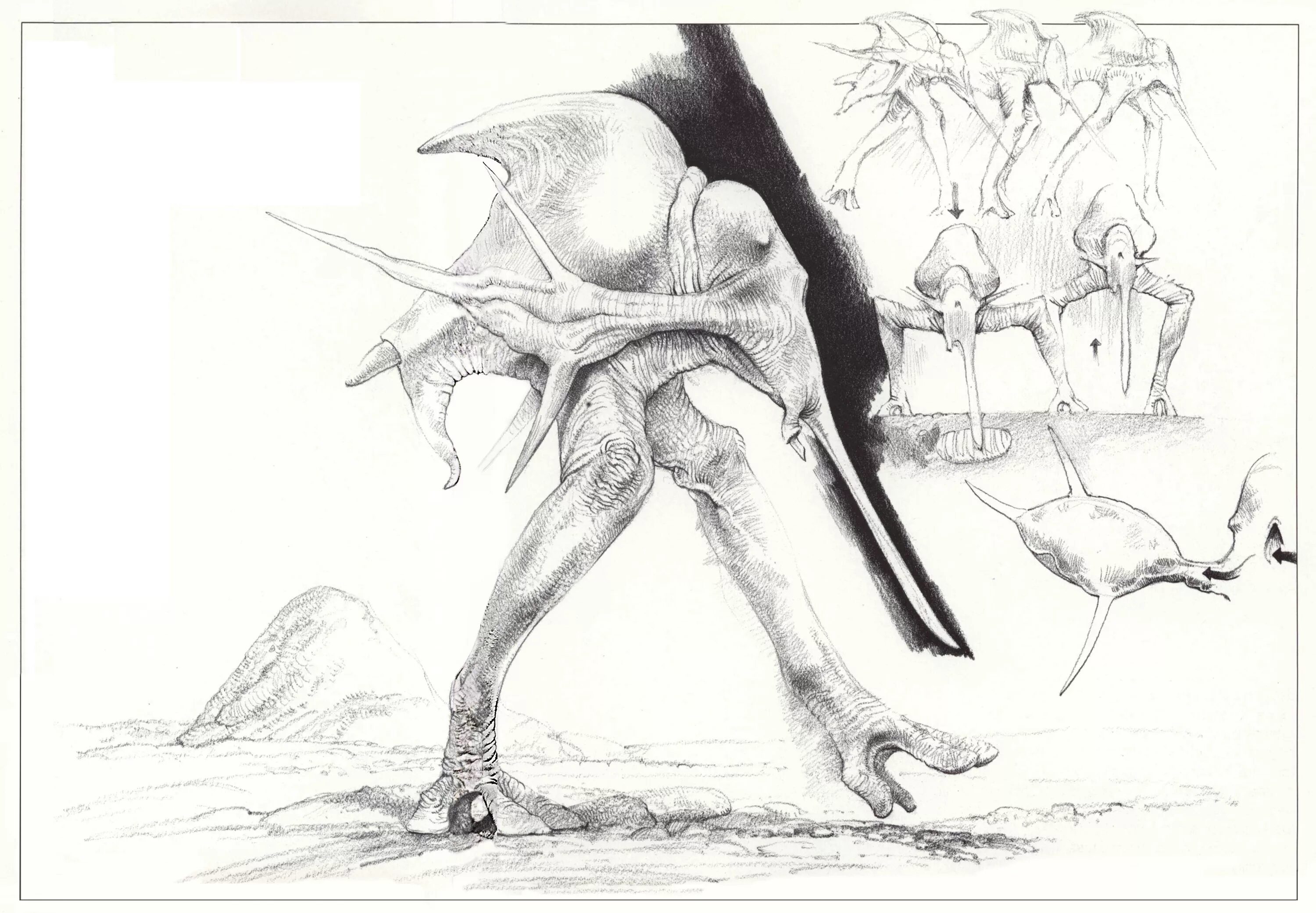 дарвин 4. Wayne barlowe. уэйн дуглас барлоу чужая планета. дарвин iv. лесоносец дарвин 4.