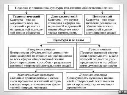 Социологическое образование 11 класс обществознание конспект