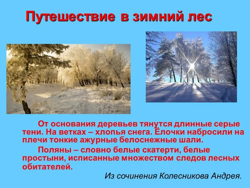 Картинки СОЧИНЕНИЕ ЧУДЕСНАЯ ЖИЗНЬ ЛЕСА ЗИМОЙ 3 КЛАСС