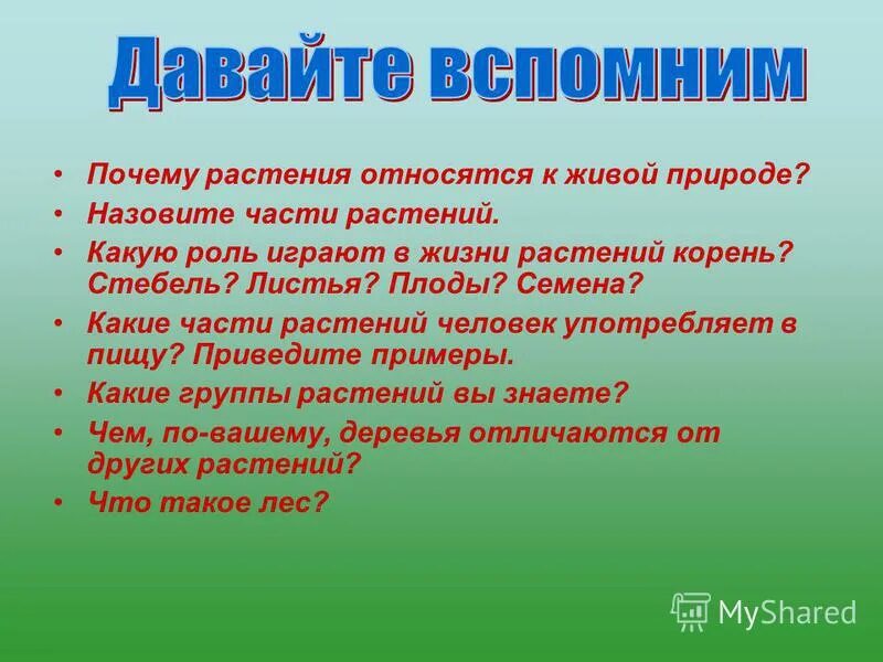 Какую роль семян в жизни растений