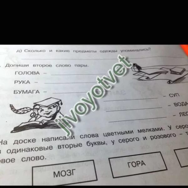 Слово пара голова