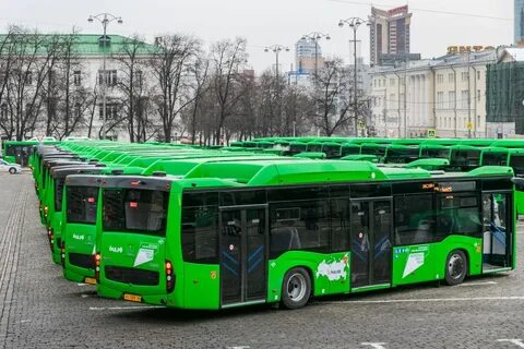 Где идет мой транспорт екатеринбург