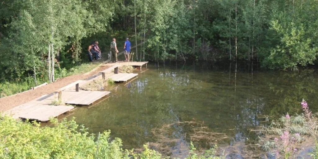 Подошел к запруде. Запруда в деревне. Запруда на ручье. Запруда на Лесном ручье. Пруд Пермь Запруд.