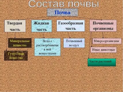 Почва 8 букв