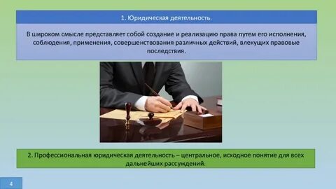 Профессиональная юридическая система