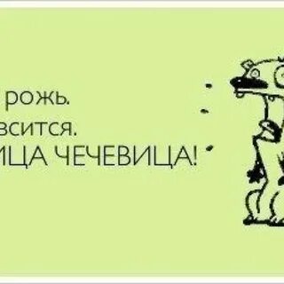 Рожь пшеница чечевица чечевица