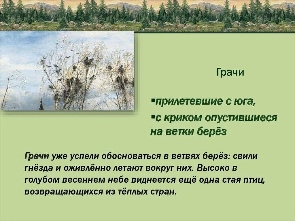 Рассказ про березу и грачей. Грачи прилетели сочинение. Придумать три предложения о Грачах. Предложения про грачей.