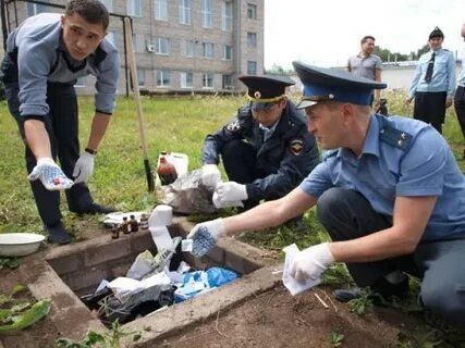 Следственный осмотр места происшествия это