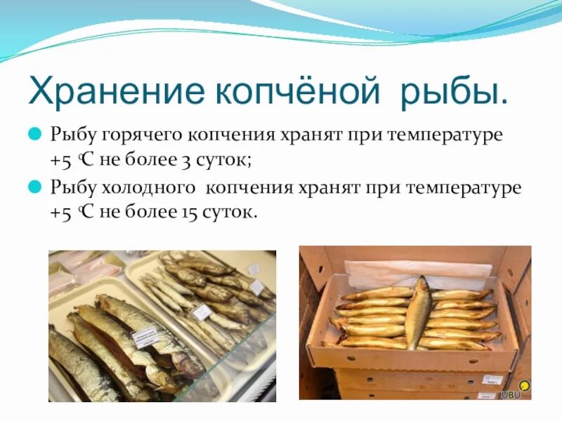 Как дольше сохранить копченую рыбу
