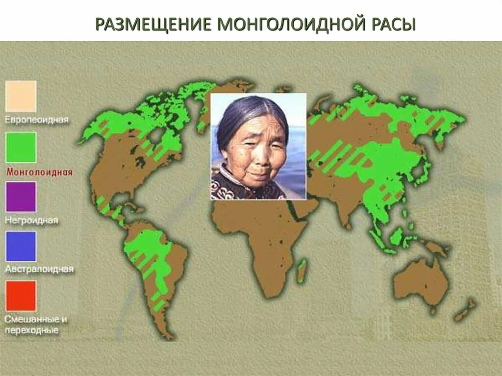 Какие губы у монголоидной расы. Ареал обитания монголоидной расы. первоначальный ареал монголоидной расы. размещение монголоидной расы.