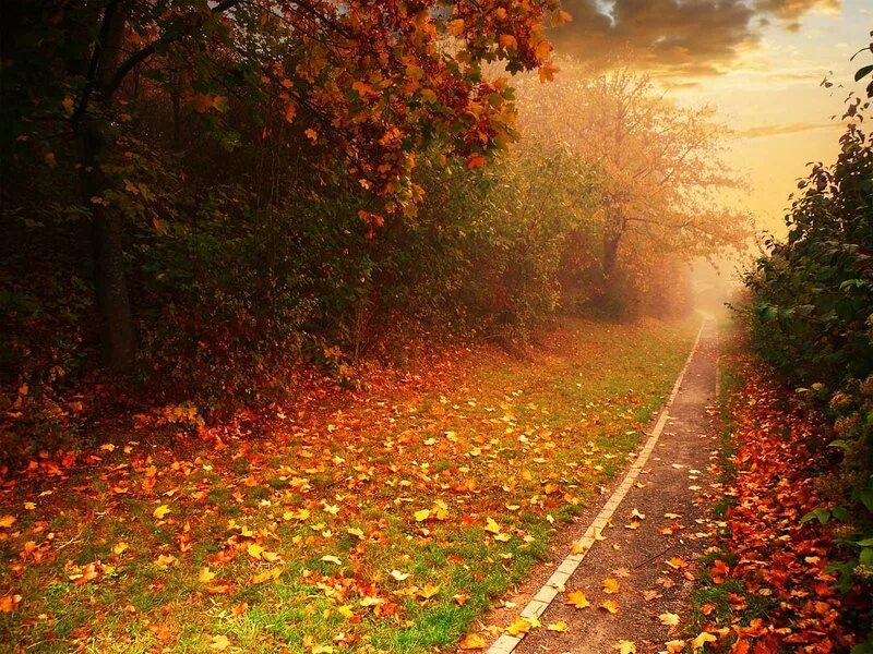 Осенило 1. Осень первое сентября. 1 сентября фото детей. Осенило 1. Солнечная осень.