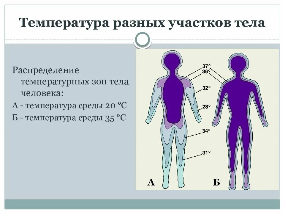 Почему тело холодное