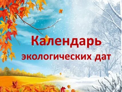Эко дата