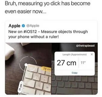 Slideshow when measuring your dick do you measure the balls.
