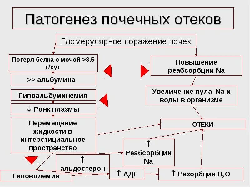 отеки этиология и патогенез. механизм сердечных отеков патофизиология. патогенез почечных отеков патофизиология. онкотический фактор. патогенез сердечных отеков.