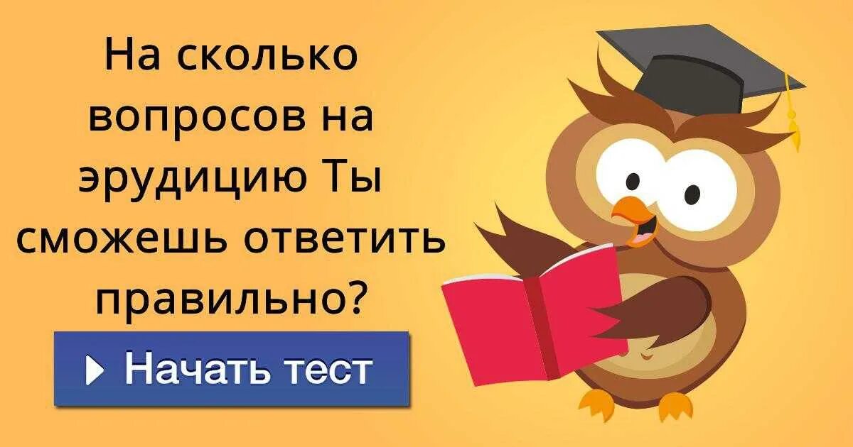 Вопросы на общую эрудицию с ответами. Тесты на грамотность и эрудицию. интересные вопросы на эрудицию. вопросы на эрудированность. тесты на эрудицию и знания.