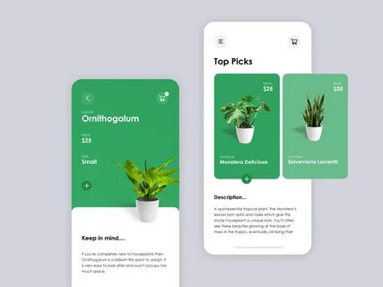 Store plants