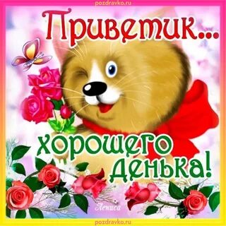 Красивые пожелания на все случаи жизни