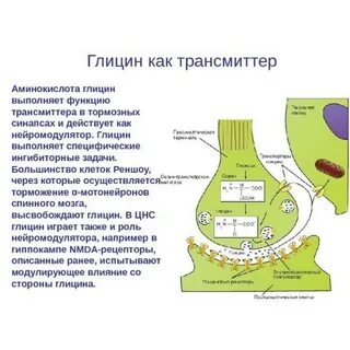 Как действует глицин
