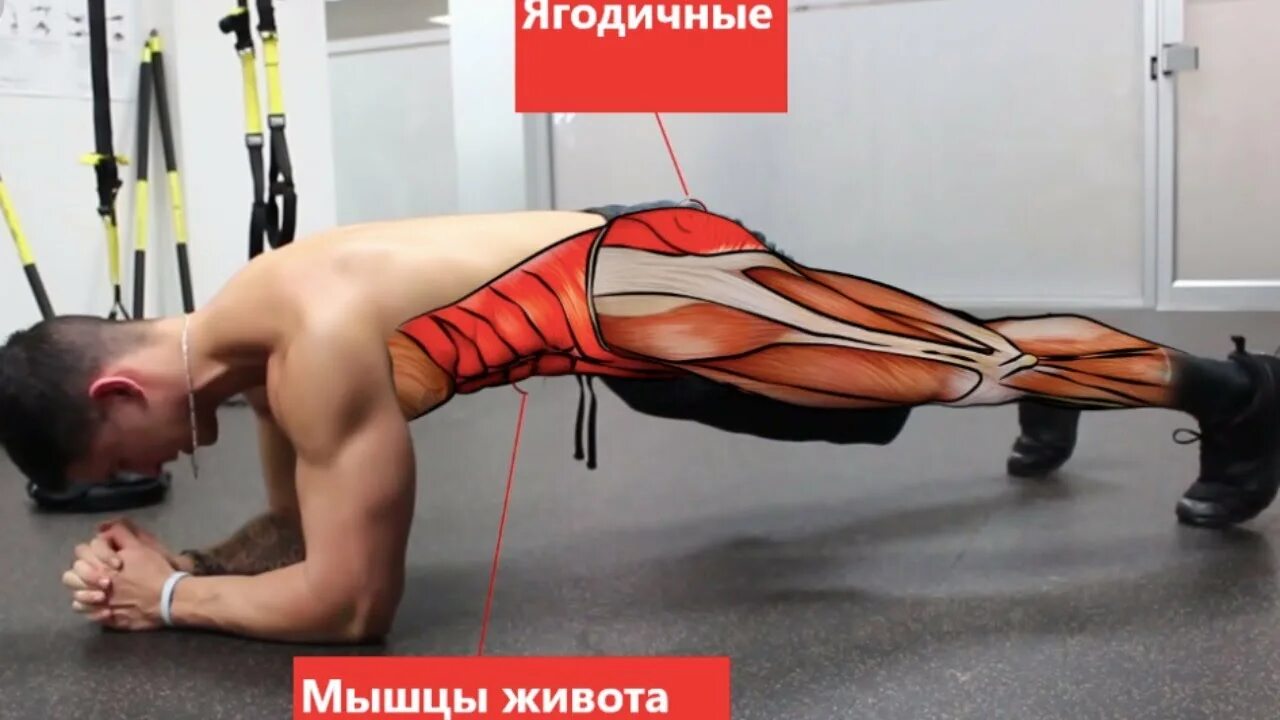 Стабилизация мышц. Мышцы стабилизаторы позвоночника.