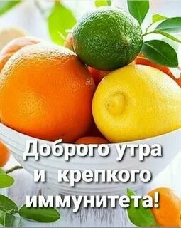 Открытки с апельсинами доброе утро.