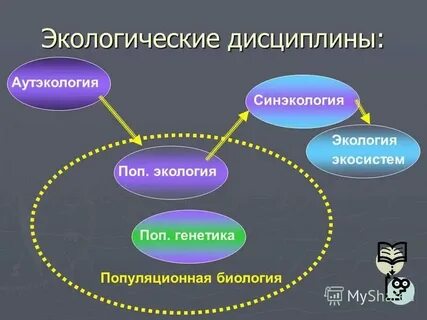 Аутэкология какой уровень