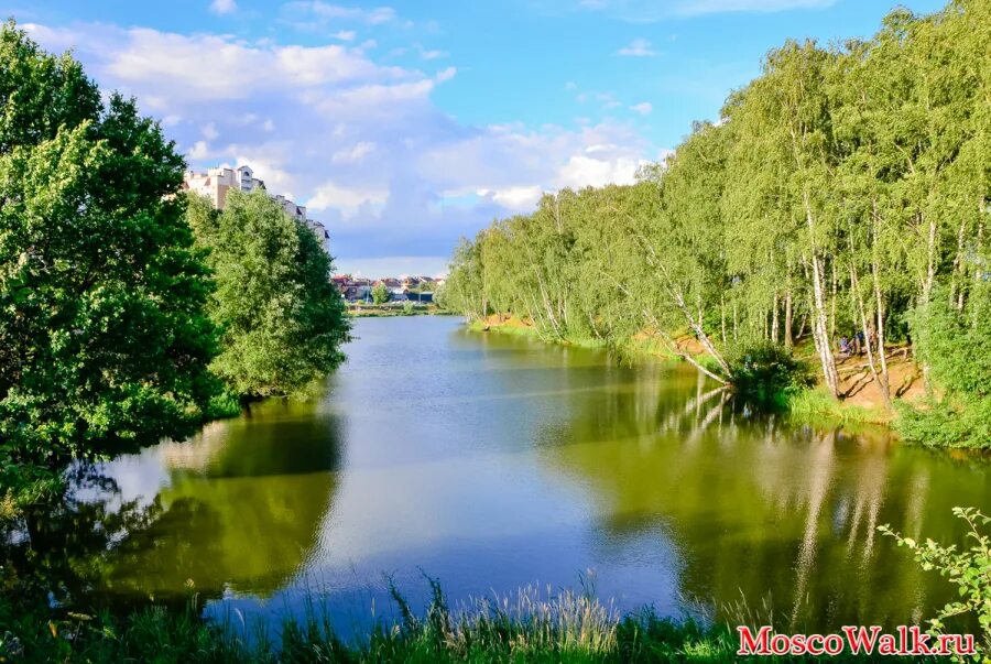 Пруд развилка. Ленинский район посёлок развилка. Река юшунка московская область. Пруд поселок развилка. Пруд поселок развилка.