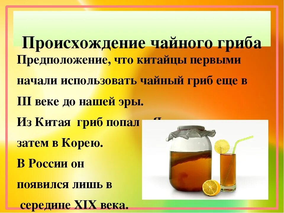 Как заварить чайный гриб на 3 литровую. Чайный гриб презентация. Что такое чайный гриб информация. Чем полезен чайный гриб. Строение чайного гриба.