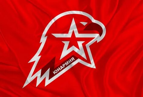 Аис юнармеец