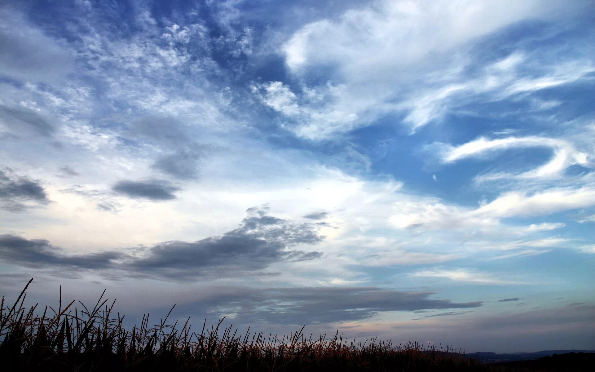 Back cloud