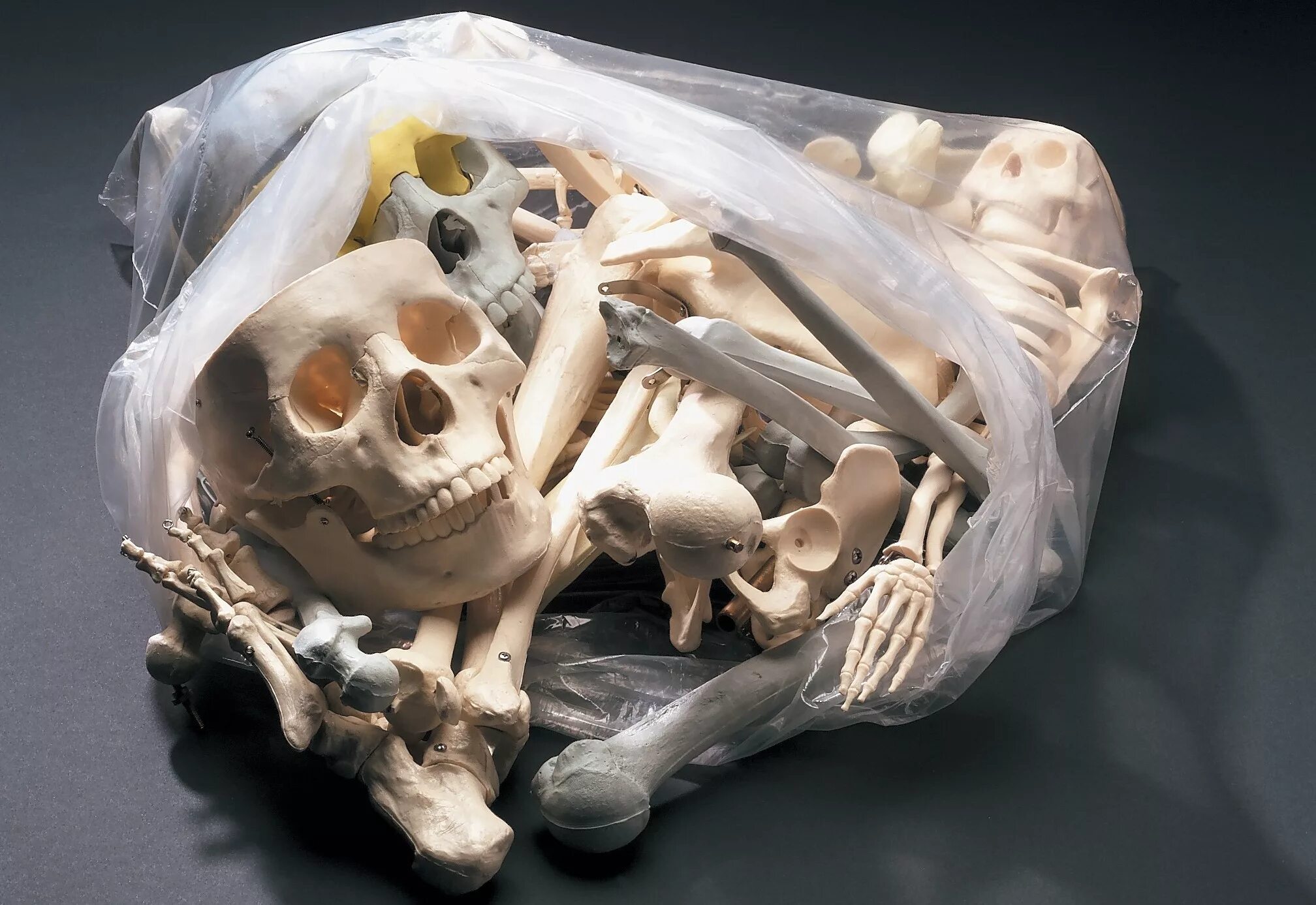 Мешок скелета. Мешок с костями. Декорирование человеческими костями.