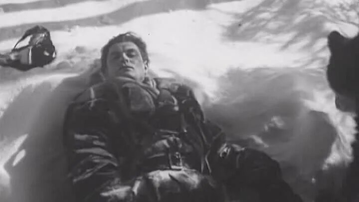 Маресьев полз. Алексей мересьев повесть. Алексей маресьев. Алексей мересьев повесть. Алексей мересьев в лесу.