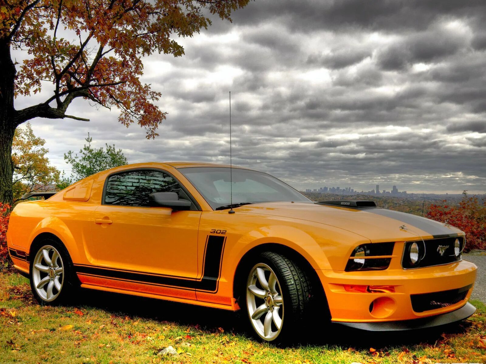 Ford Mustang Saleen s302. Форд Мустанг 2006. Форд Мустанг gt 2006. Ford Mustang 2006. Мустанг на русском языке