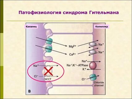 Псевдо барттера