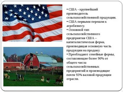 Ведущие отрасли хозяйства сша