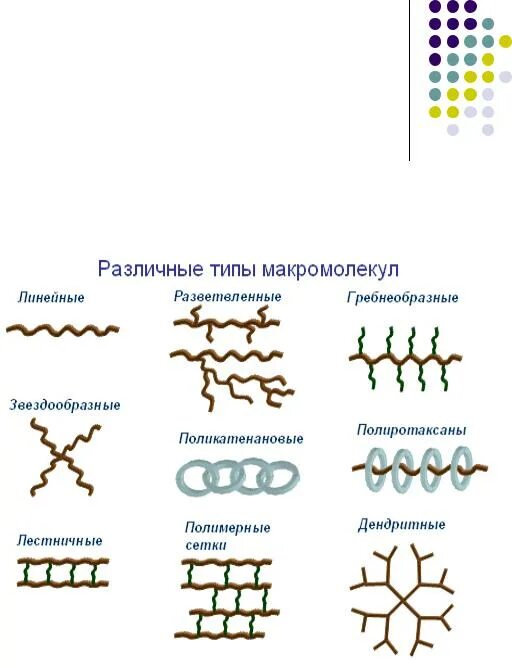 Линейный разветвленный полимер. Линейный разветвленный полимер